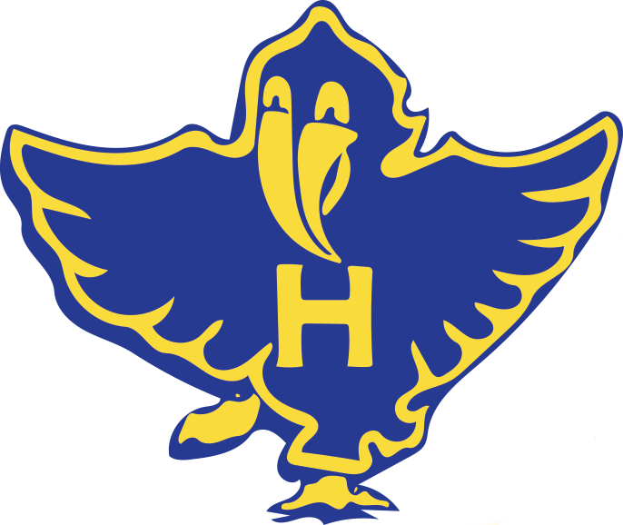 Salt-Hawk